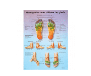 POSTER MASSAGE DES ZONES REFLEXES